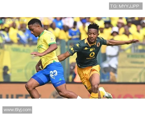 2022年巴西足球明星的辉煌表现与未来发展展望