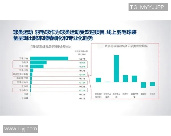 北京羽毛球队意识表现的数据分析与提升策略探讨